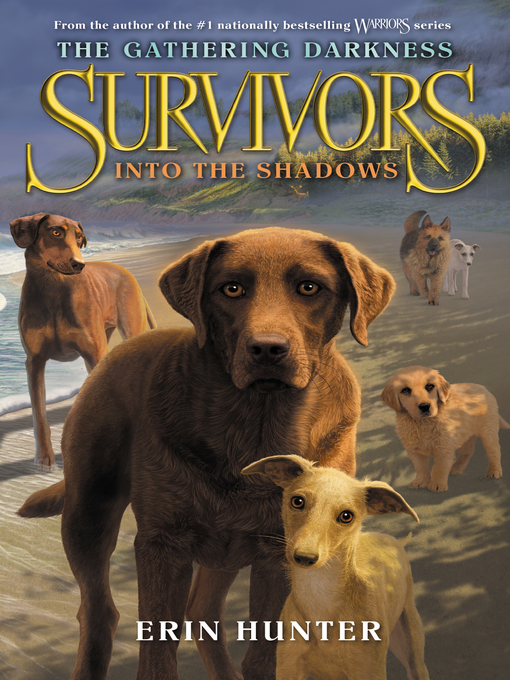 Cover image for Into the Shadows